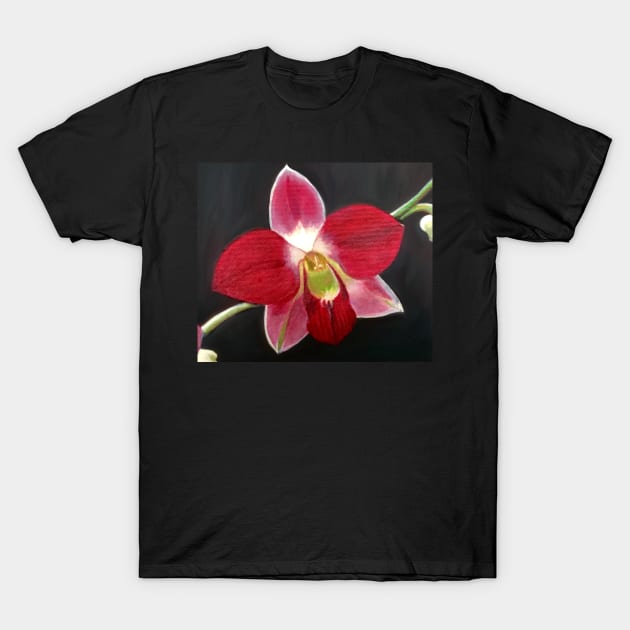 Blooming Red Orchid T-Shirt by Lady Lilac